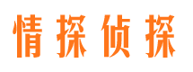 吉林市市调查公司